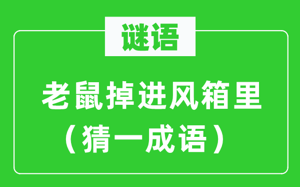 谜语：老鼠掉进风箱里（猜一针言）