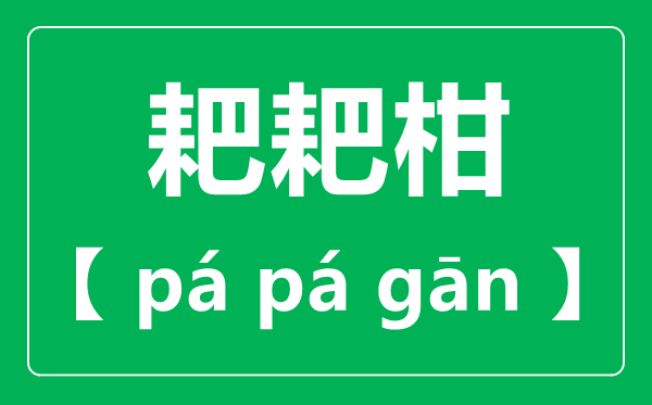 耙耙柑怎样读,耙耙柑念pa仍是ba,耙耙柑和橘子的区分是甚么