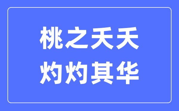 桃之夭夭，灼灼其华是甚么意义,桃之夭夭灼灼其华的寄义