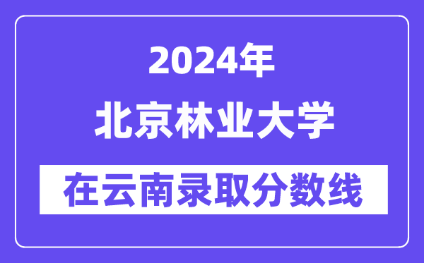 北京林业大学2024年在云南登科分数线一览表（2025年参考）