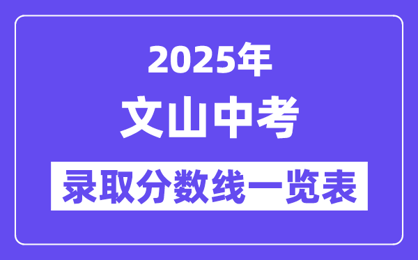 2025年文山中考各高中登科分数线一览表
