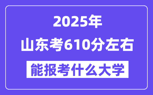 2025年山东考610分摆布能报考上甚么大学?附位次排名对比表