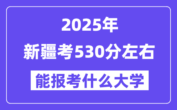 2025年新疆考530分摆布能报考上甚么大学?附位次排名对比表