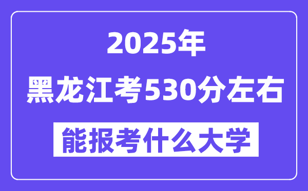 2025年黑龙江考530分摆布能报考上甚么大学?附位次排名对比表