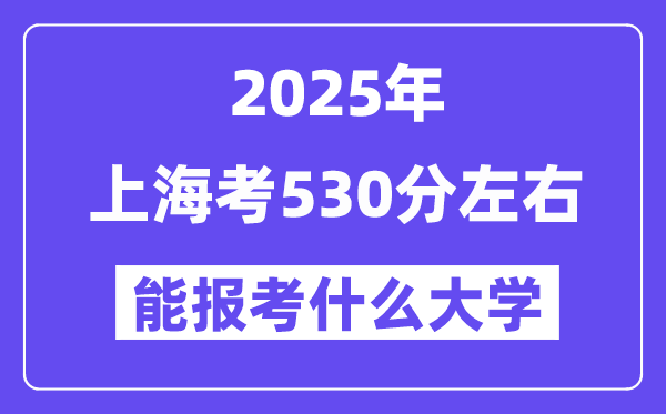 2025年上海考530分摆布能报考上甚么大学?附位次排名对比表