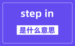 step in和step into的区分是甚么