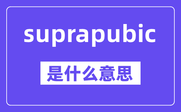 suprapubic是甚么意义,中文翻译是甚么
