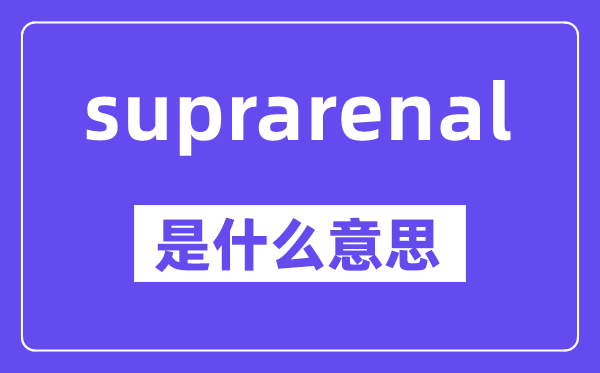 suprarenal是甚么意义,中文翻译是甚么