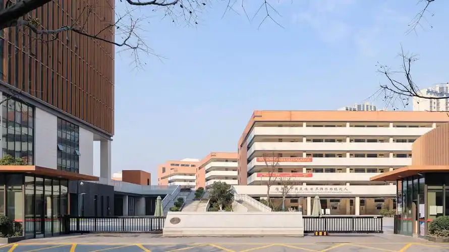 南京河西本国语黉舍在南京的排名第几,南外属于甚么条理？