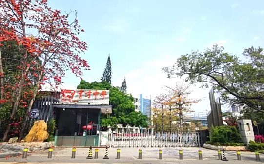 深圳育才中学是公立仍是私立,是重点中学吗？