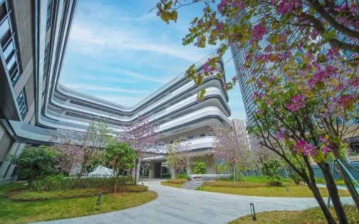 深圳市格致中学在深圳的排名第几,属于甚么层次？