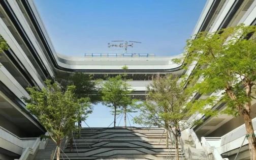 深圳市格致中黉舍区在哪_在哪一个区？