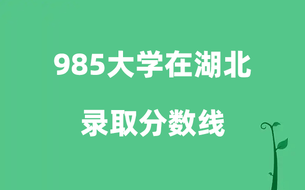 各所985大学在湖北的登科分数线是几多分（2026参考）